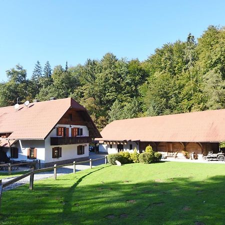 Domacija Seruga Countryside Hotel Novo Mesto Luaran gambar