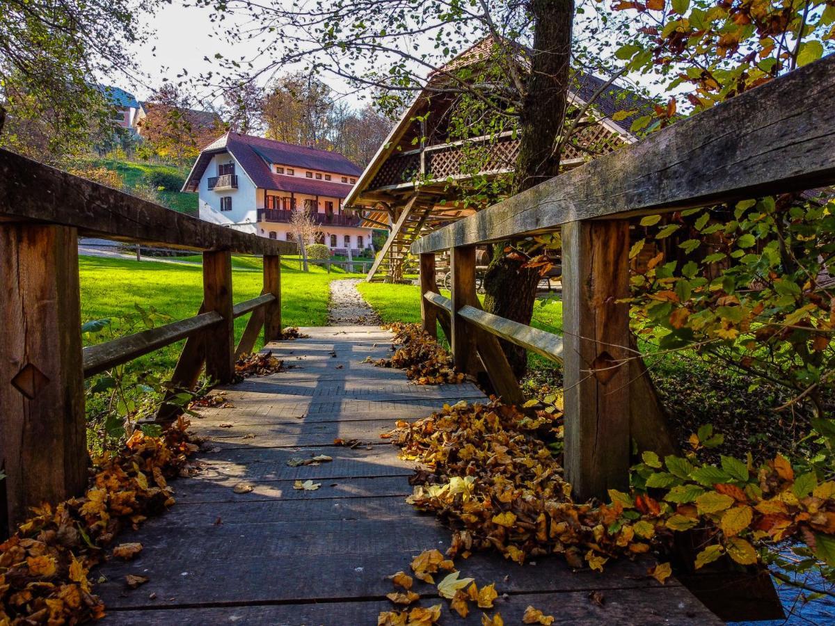 Domacija Seruga Countryside Hotel Novo Mesto Luaran gambar