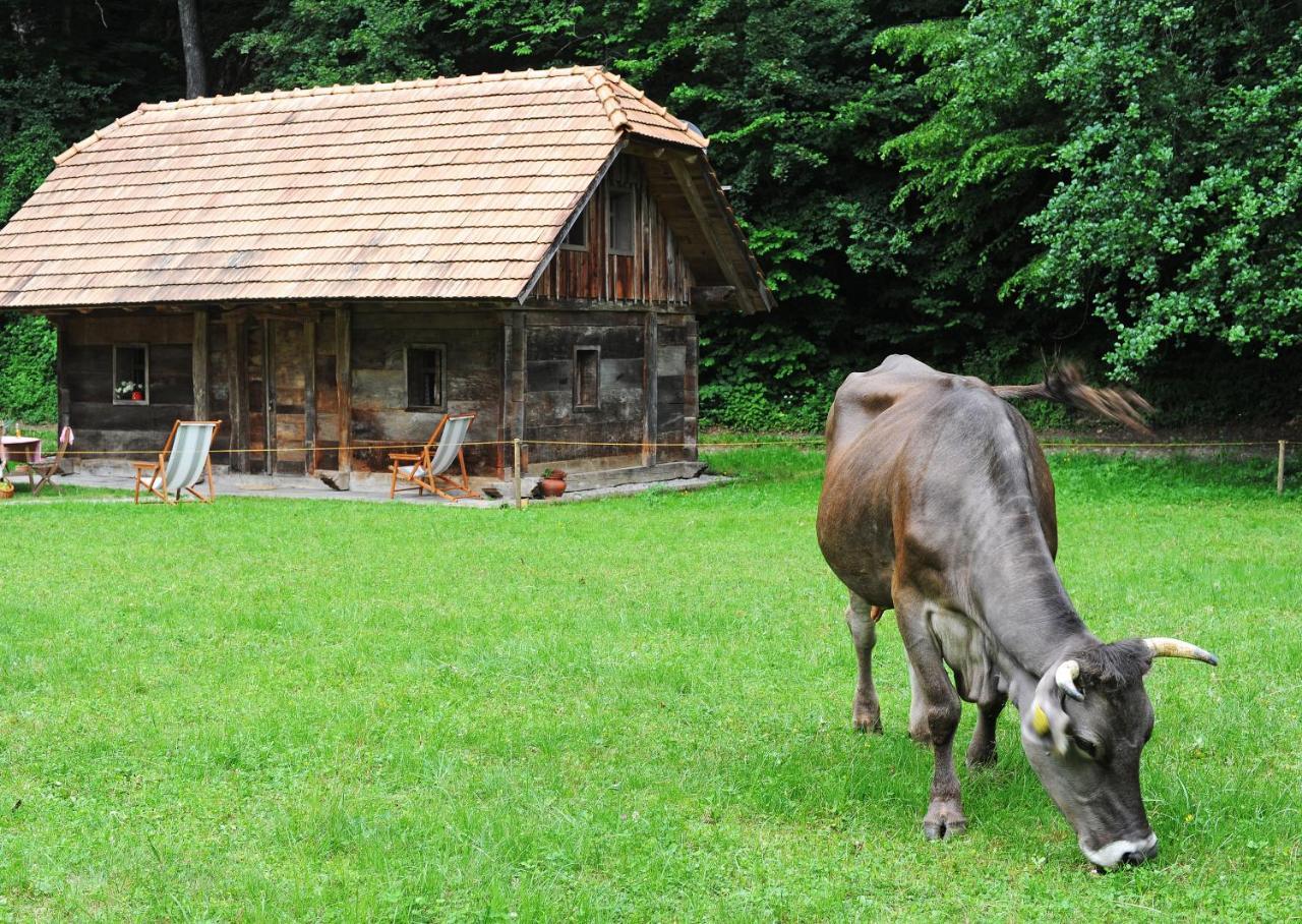 Domacija Seruga Countryside Hotel Novo Mesto Luaran gambar