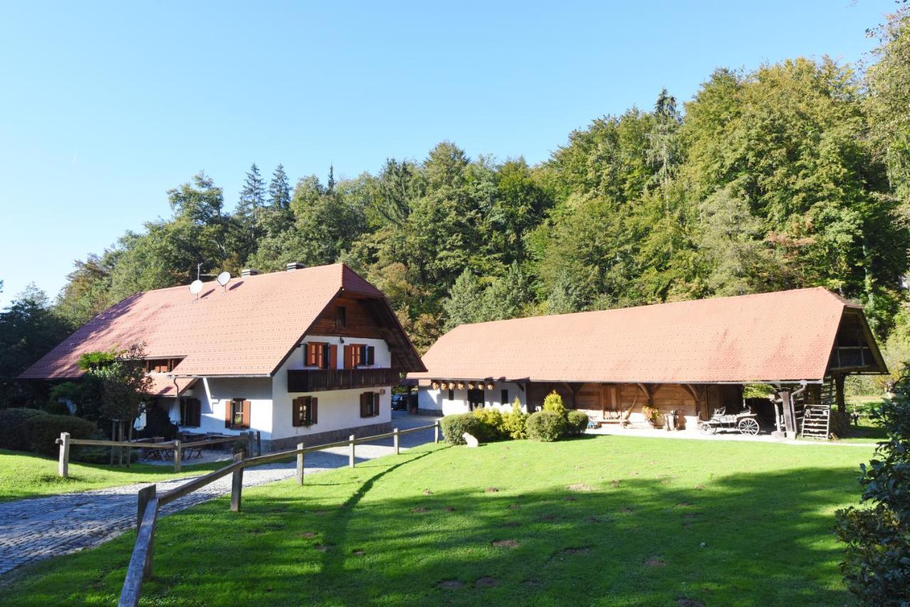 Domacija Seruga Countryside Hotel Novo Mesto Luaran gambar