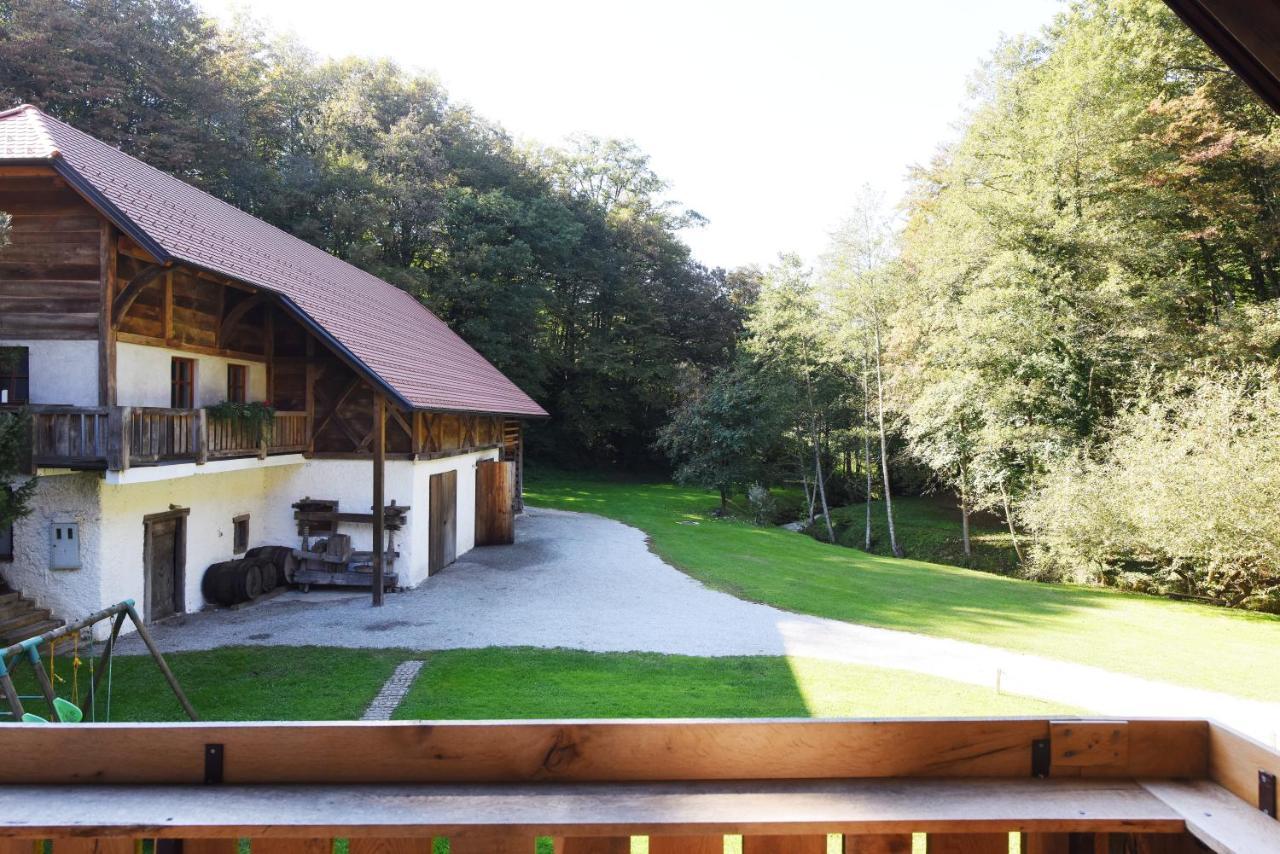 Domacija Seruga Countryside Hotel Novo Mesto Luaran gambar