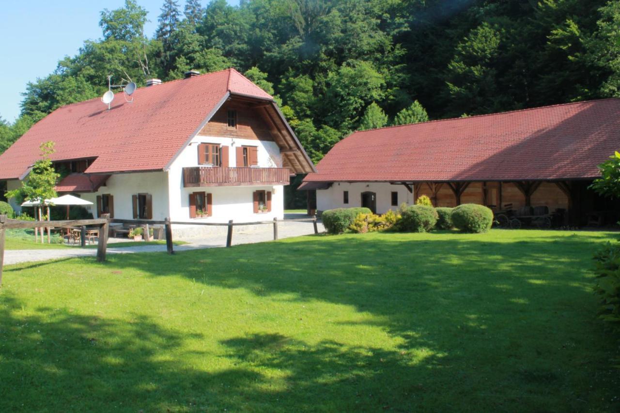 Domacija Seruga Countryside Hotel Novo Mesto Luaran gambar